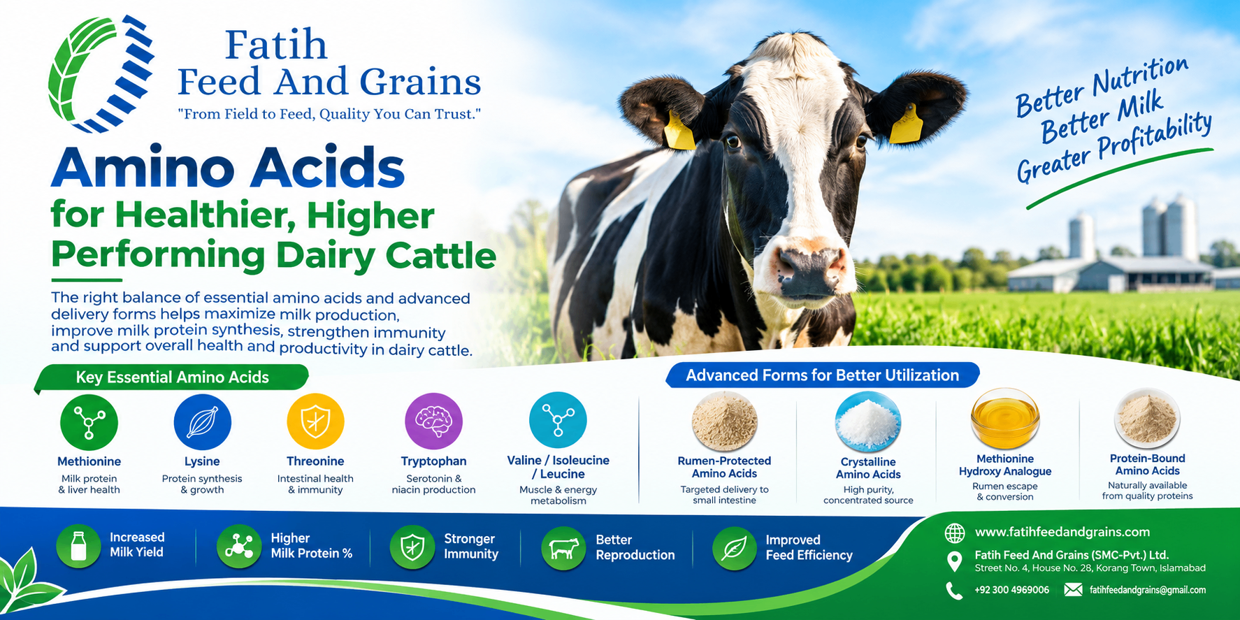 Amino Acids in Dairy Cattle Nutrition: The Key to Better Milk Production and Protein Efficiency
